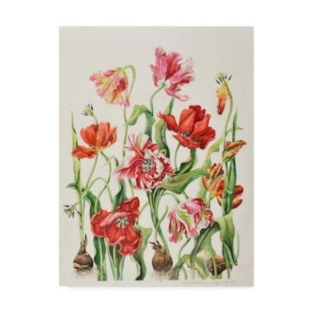 Janneke Brinkman-Salentijn 'Poppies' Canvas Art,14x19